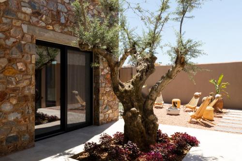 Taman di luar Ormus Villa - Beachfront Sanctuary Blending with Earth, Sun & Sea by etouri