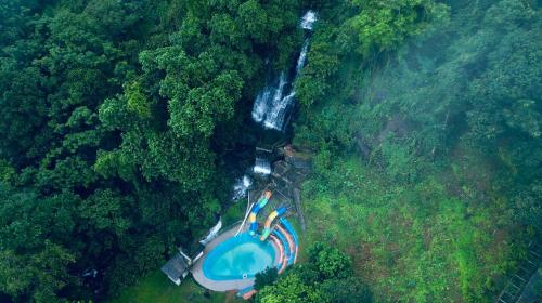 Bazén v ubytování Oxygen Rainforest Resort nebo v jeho okolí