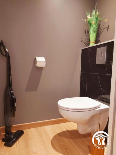 a bathroom with a white toilet in a room at L'étoile du Berger in Montsûrs