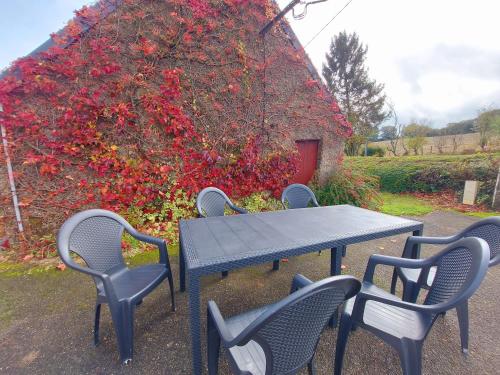 a picnic table and chairs in front of a bush with red flowers at La Derouannière in Saint-Thomas-de-Courceriers