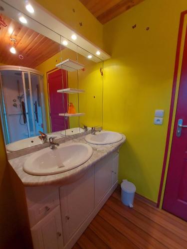 a bathroom with two sinks and a large mirror at La Derouannière in Saint-Thomas-de-Courceriers