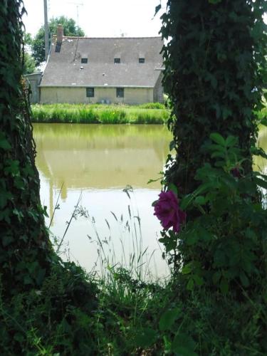 a view of a body of water from between two trees at Le Bas Pineau in La Douaire