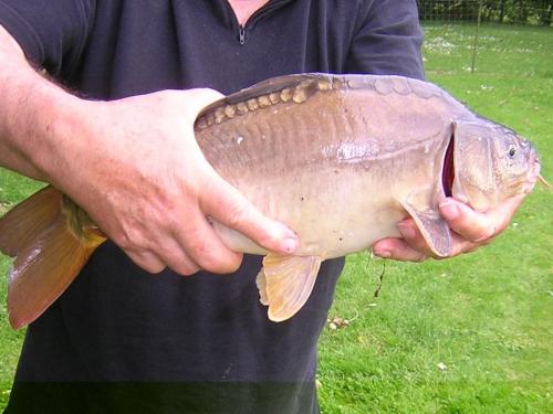 a man holding a fish with its mouth open at Le Bas Pineau in La Douaire