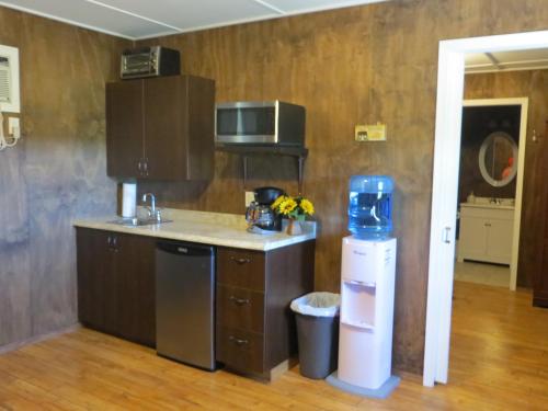 a kitchen with a sink and a counter top at Orchard View Bed and Breakfast in Moose Jaw