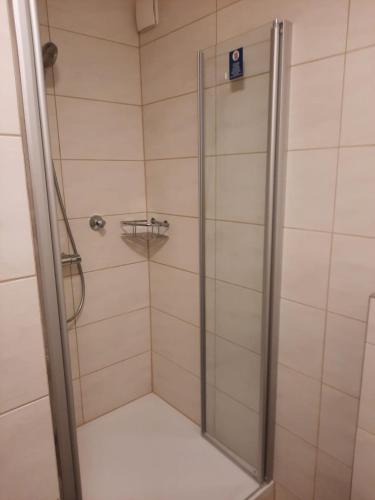 a shower with a glass door in a bathroom at Apartment in Bayreuth in Niederdorla