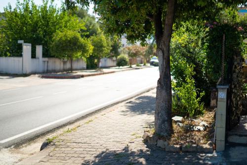 a tree on a sidewalk next to a street at Casa delle Sorgenti 2 in Torpè