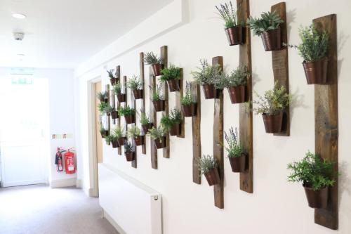 a hallway with potted plants on the wall at Gwesty Seren Hotel in Blaenau-Ffestiniog