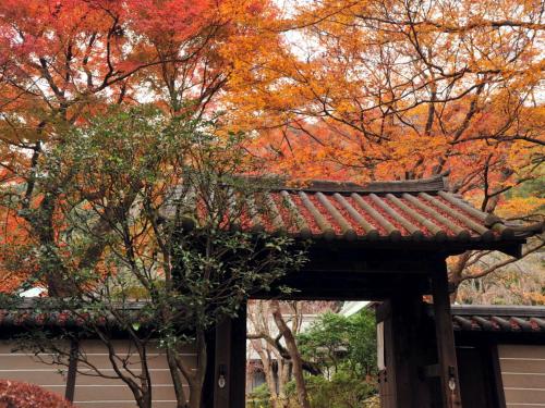 a pagoda in front of a tree with autumn leaves at Kaihinsou Kamakura in Kamakura