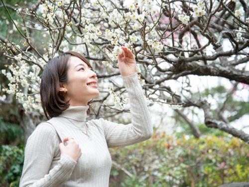 a woman is looking up at a flowering tree at Kaihinsou Kamakura in Kamakura