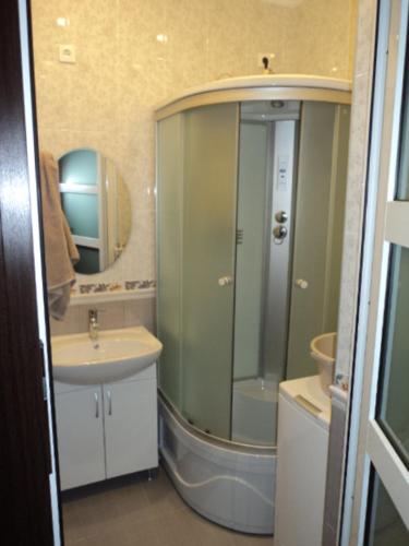 ゲレンジークにあるApartment on Turisticheskayaのバスルーム(シャワー、シンク、鏡付)