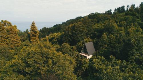 a cabin in the middle of a forest of trees at In Green in Kvariati