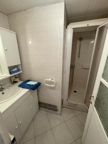 a bathroom with a shower and a sink at Sac des Vertues Bordure Rivière in Beaumont-sur-Sarthe