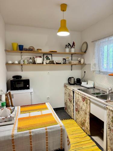 a kitchen with a sink and a counter top at Vila Kralj in Podčetrtek