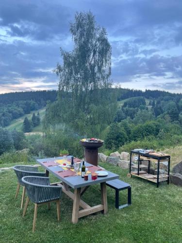 a picnic table on the grass with a view of a field at Apartmány nad Šlikovkou in Jáchymov