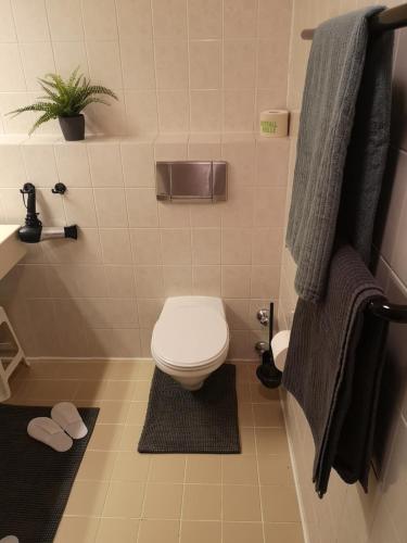 a bathroom with a toilet and towels on the wall at Cozy Alpe in Treffen
