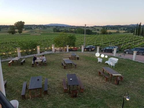 a group of picnic tables in a field of grapes at Casale Rialto in Montefalco