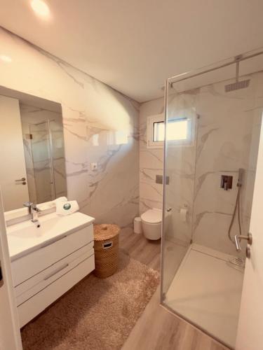 a bathroom with a shower and a sink and a toilet at Apuliaapartments in Apúlia