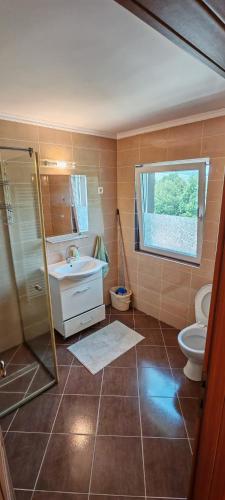 a bathroom with a toilet and a sink and a shower at Pension Klarissa in Sovata