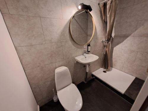 a bathroom with a toilet and a sink and a mirror at Hotel Studlagil in Skjöldólfsstaðir