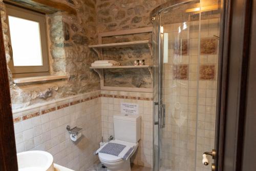 a bathroom with a toilet and a glass shower at Ξενώνας Πελασγός in Sparti