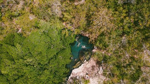 an aerial view of a river in a forest at The Explorean Cozumel All Inclusive in Cozumel