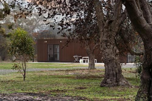 a large tree in front of a building at Hollow Mountain Cabin Laharum Dadswell Bridge in Laharum