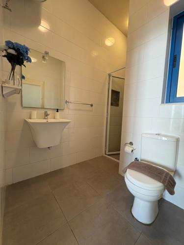 a bathroom with a toilet and a sink at Fiftyfour West Boutique Living in Għarb