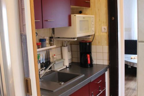 una cucina con lavello e microonde di Ferienwohnung Kutz a Quilitz