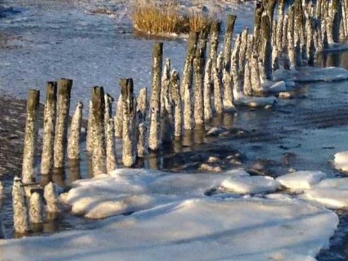 Příroda nedaleko prázdninového domu