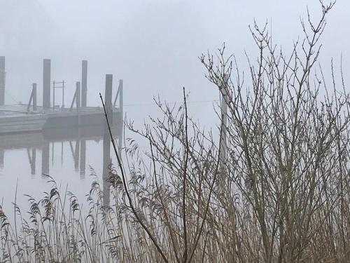 Příroda nedaleko prázdninového domu
