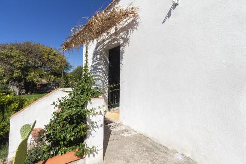 a white building with a door and a plant at Mistral Guest House in Marina di Sorso
