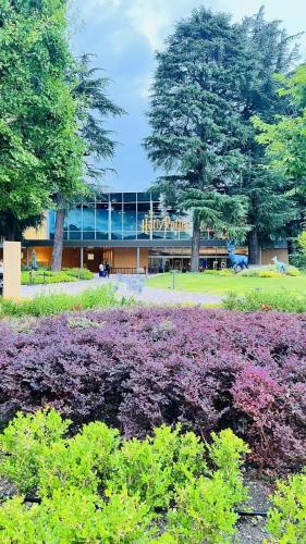 a park with purple flowers in front of a building at 小竹の宿日式独栋三间卧室池袋地铁五站 in Tokyo