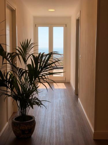 a potted plant in a hallway with a large window at 5 Ragazze in Campofilone