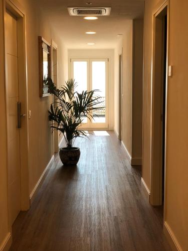 a hallway with a plant in a pot on the floor at 5 Ragazze in Campofilone