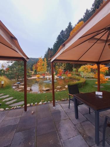 a patio with a table and an umbrella and a pond at Piatra Pinului Ski & Spa in Gura Humorului
