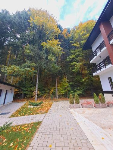 a courtyard in front of a building with trees at Piatra Pinului Ski & Spa in Gura Humorului