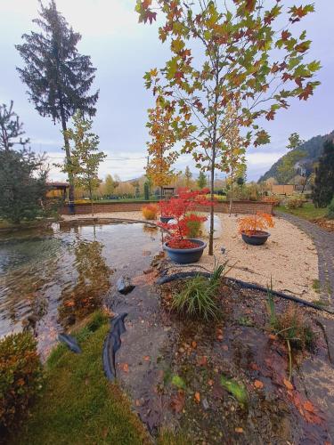 two trees sitting inront of a pond at Piatra Pinului Ski & Spa in Gura Humorului
