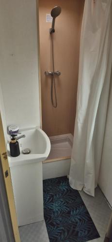 Et badeværelse på Przyczepa Holenderska POCO