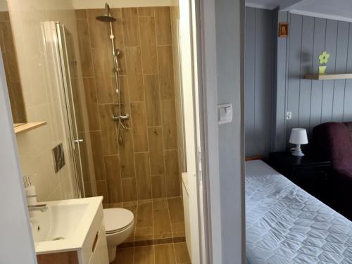 Ένα μπάνιο στο Domek na Leśnej