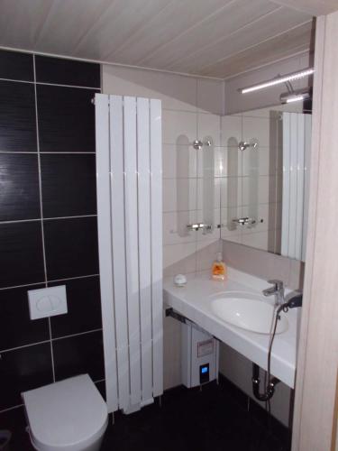 a bathroom with a sink and a toilet and a mirror at Ferienwohnung in Rositz