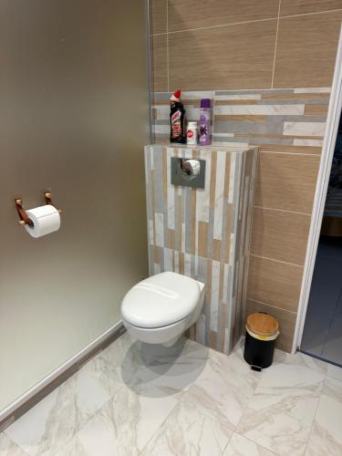 a bathroom with a toilet and a roll of toilet paper at Appartement deux chambres spacieux avec jardin et entièrement privatif dans lotissement très calme in Biguglia
