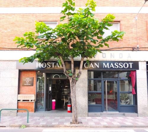 a tree in front of a store with a sign at Hostal Can Massot in Anglés