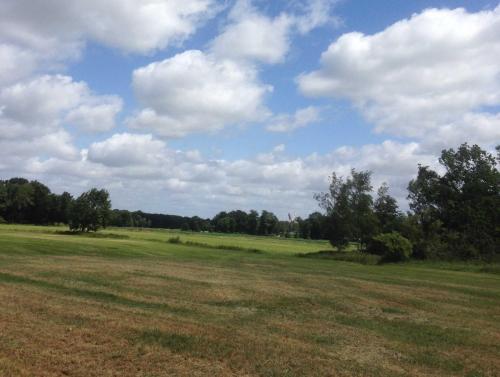 a large open field with trees and a cloudy sky at Schäfchenwolke Apartment auf dem Bauernhof in Worpswede