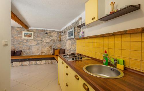 a kitchen with a sink and a stone wall at Beautiful Stone House Obrs with indoor pool in Kraj