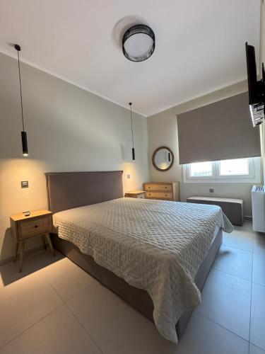 Center casa 13