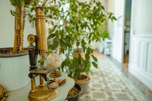 a gold microscope sitting on a table next to potted plants at Chambre duo in Sainte-Gemme-la-Plaine