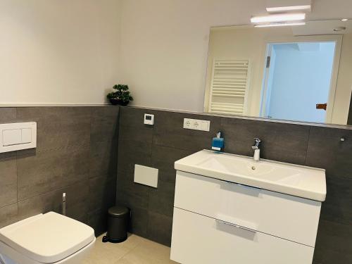 a bathroom with a sink and a toilet and a mirror at Ferienwohnung "Dani" - Haus Stubnitz in Prora
