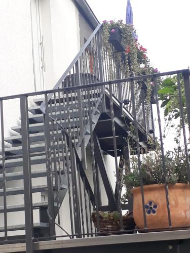 a staircase with potted plants on the side of a building at Ferienwohnung in Rositz
