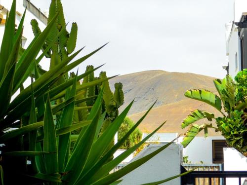 Atlantic Rooms Corralejo