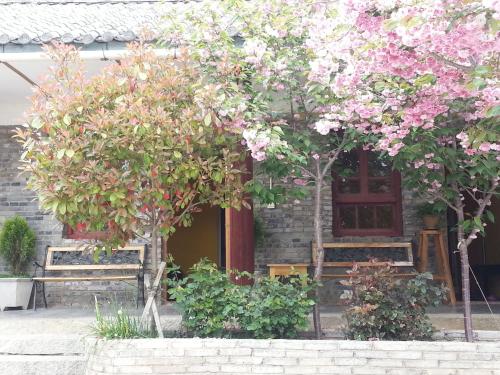 two trees with pink flowers in front of a building at Kevin's Trekker Inn in Shangri-La